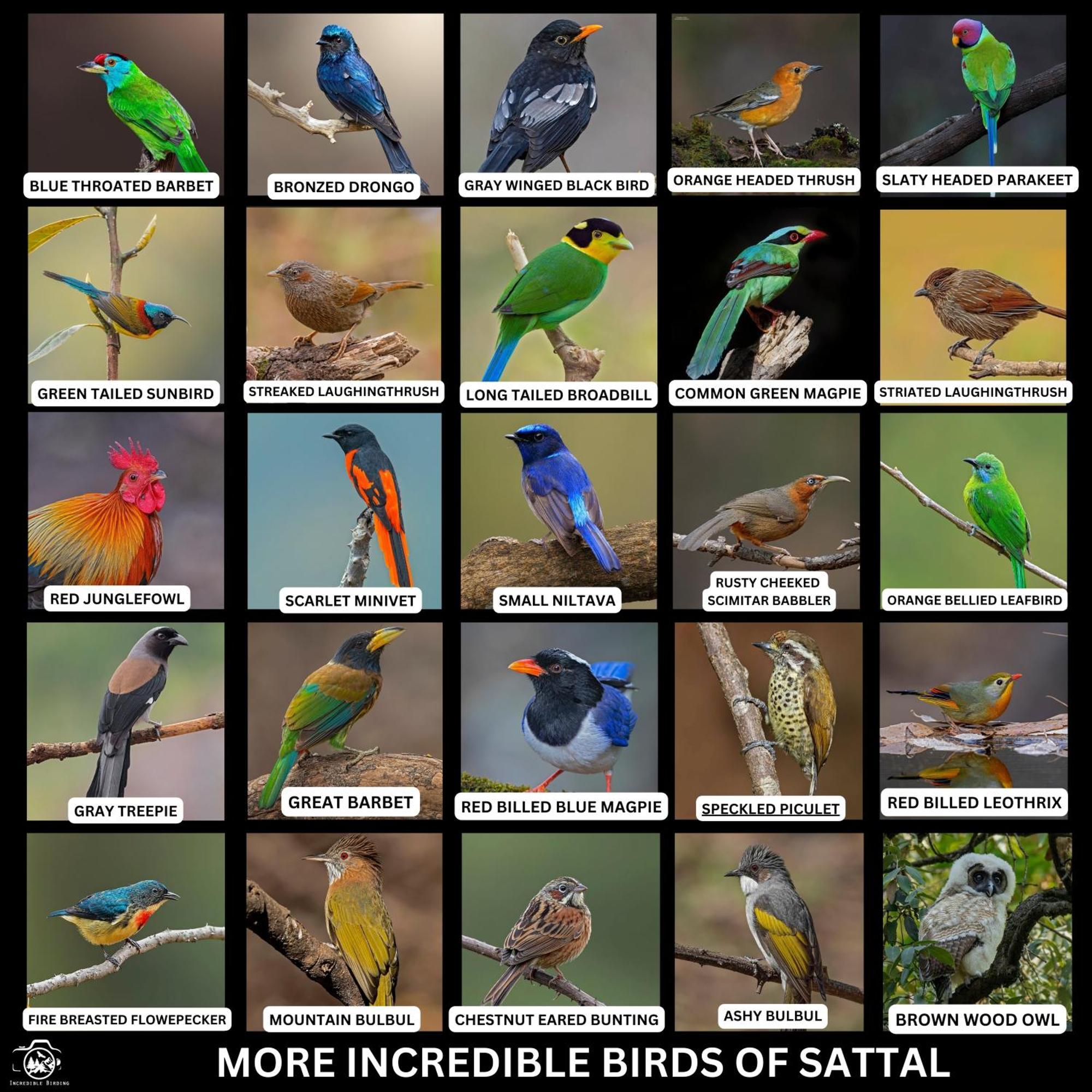 Bhīm TālIncredible Birding Campアパートメント エクステリア 写真