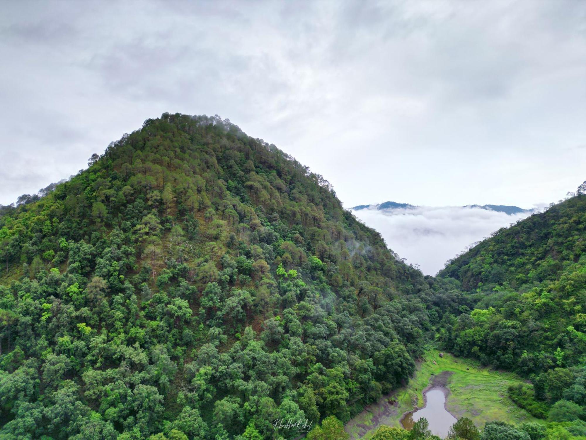 Bhīm TālIncredible Birding Campアパートメント エクステリア 写真